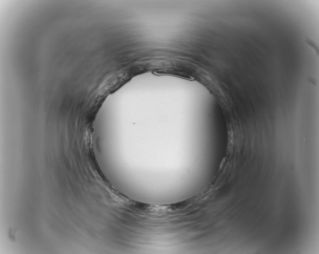 X0000103310333200808291158