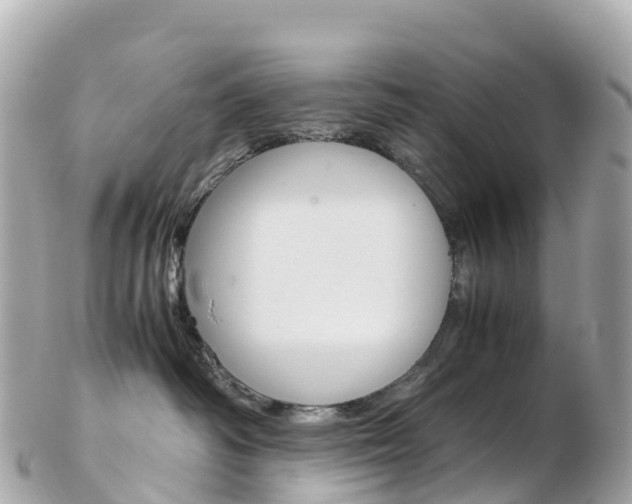 X0000103310334200808291158