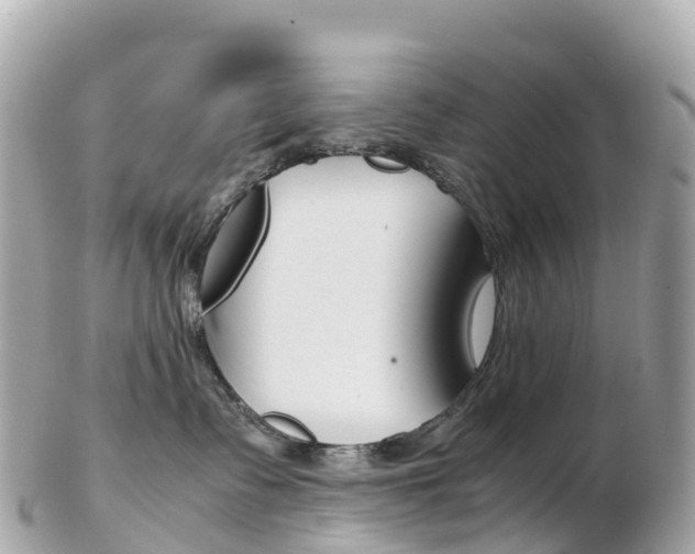 X0000103310335200808291158