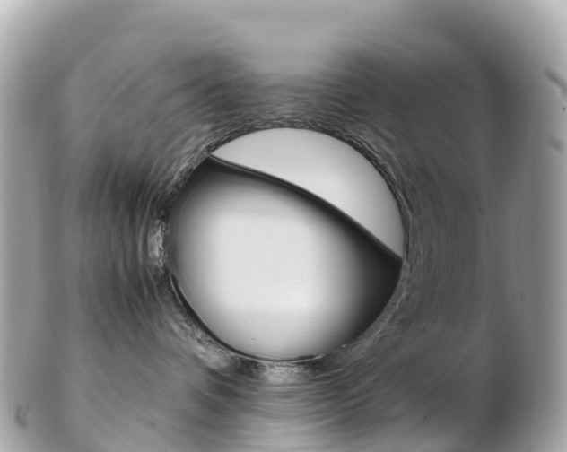 X0000103310336200808291158