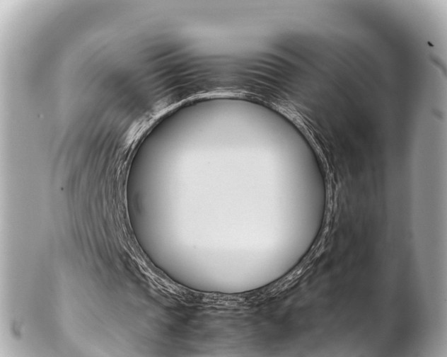 X0000103310337200808291157