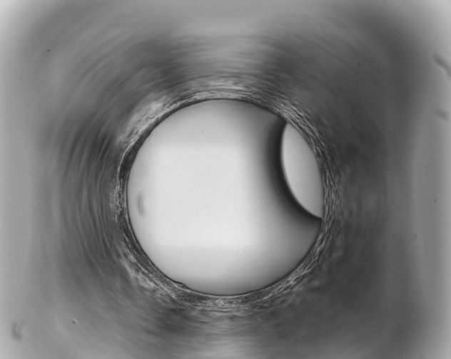 X0000103310338200808291157