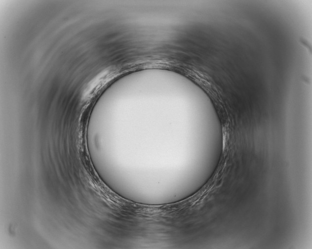 X0000103310339200808291157