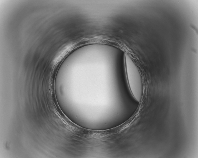 X0000103310341200808291157