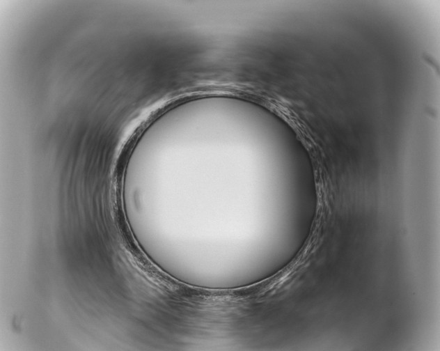 X0000103310342200808291157