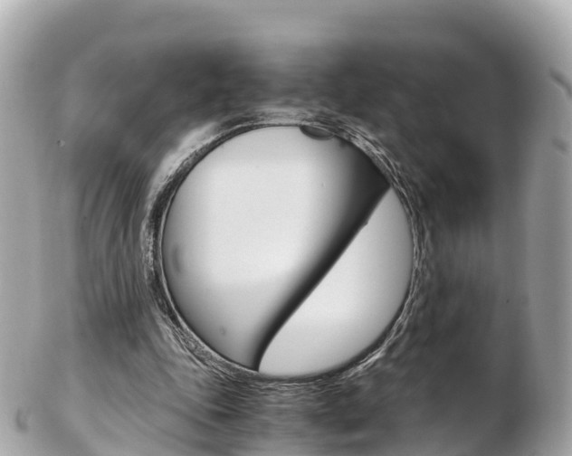 X0000103310343200808291157