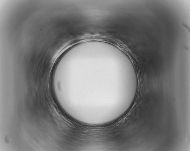 X0000103310344200808291157