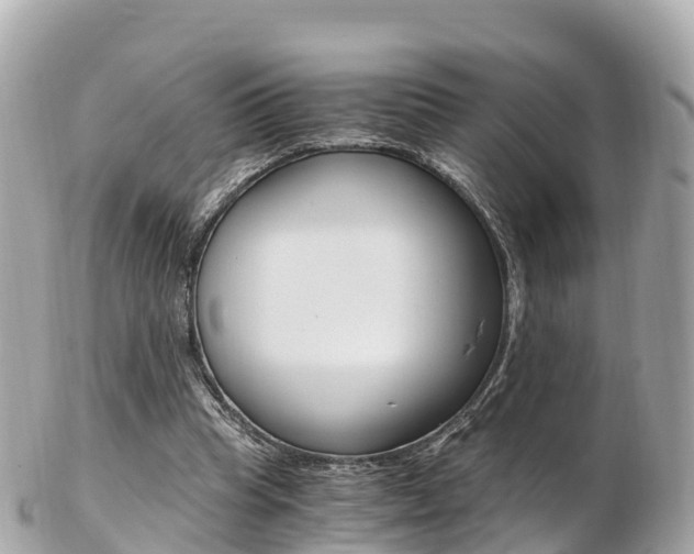 X0000103310345200808291157
