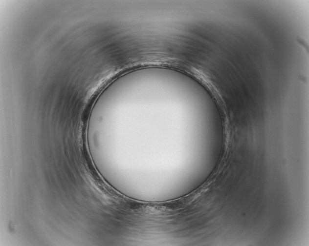 X0000103310346200808291157