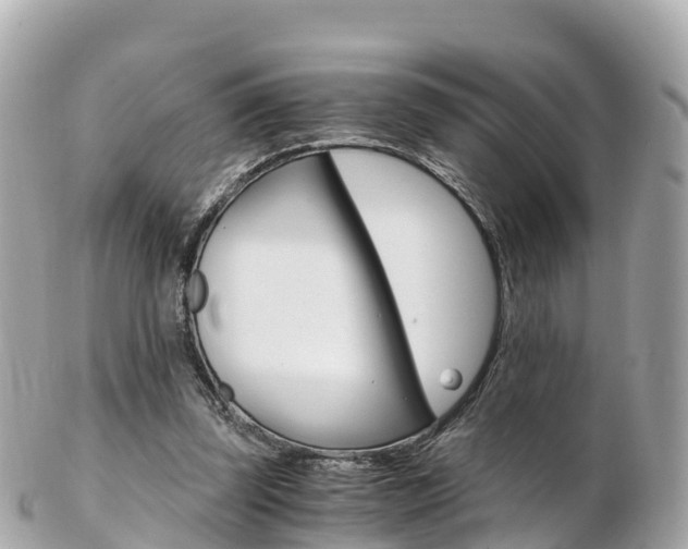 X0000103310347200808291157