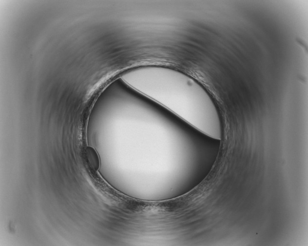 X0000103310348200808291157