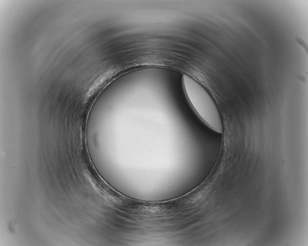 X0000103310349200808291157