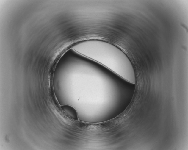 X0000103310350200808291157