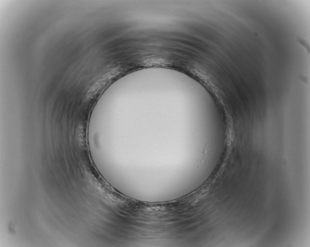 X0000103310353200808291157