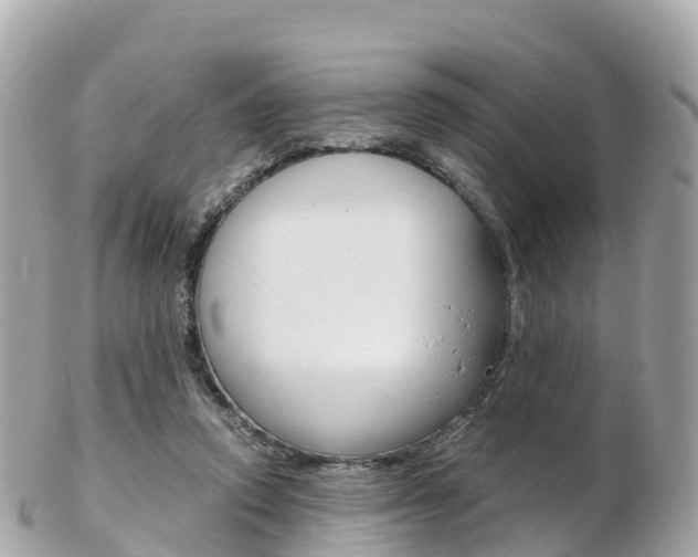 X0000103310354200808291157