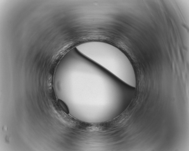 X0000103310356200808291157