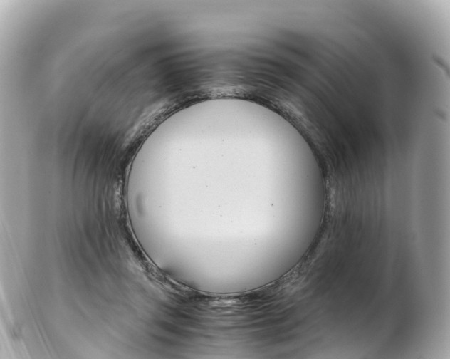 X0000103310357200808291157