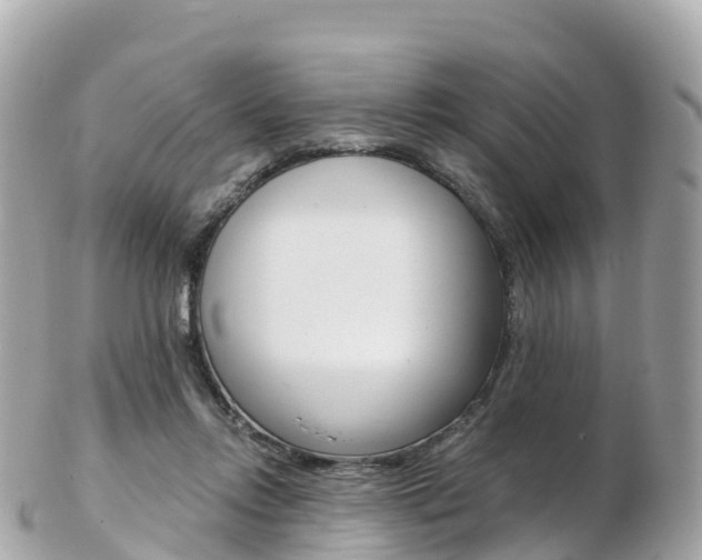 X0000103310358200808291157