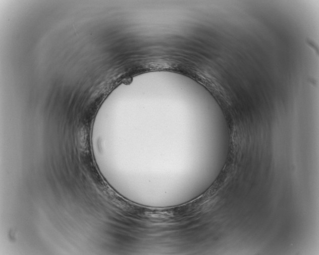 X0000103310359200808291157