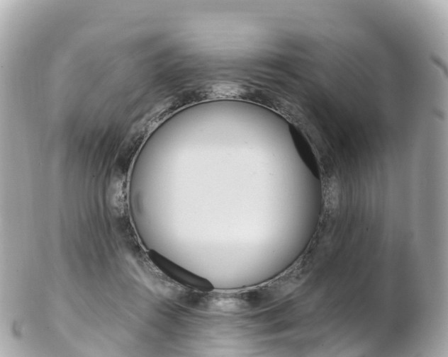 X0000103310360200808291157