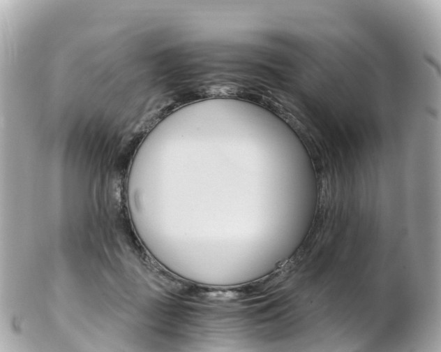X0000103310363200808291157