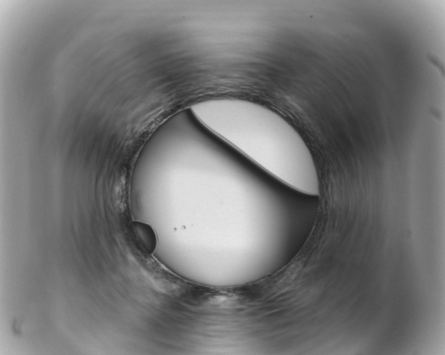 X0000103310364200808291157