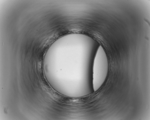 X0000103310365200808291157