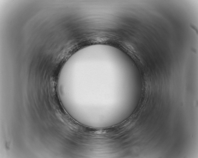 X0000103310366200808291157