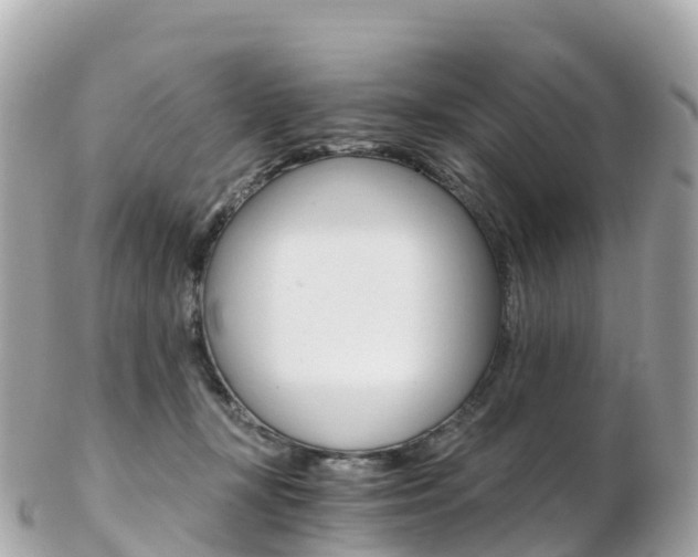 X0000103310367200808291157