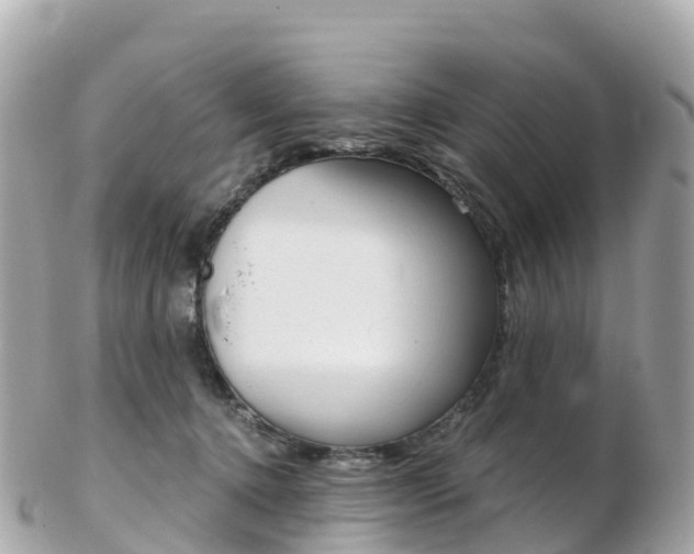 X0000103310368200808291157