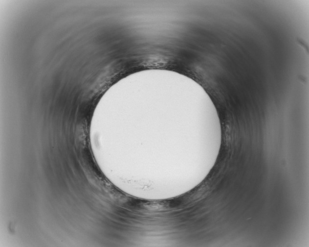 X0000103310370200808291157