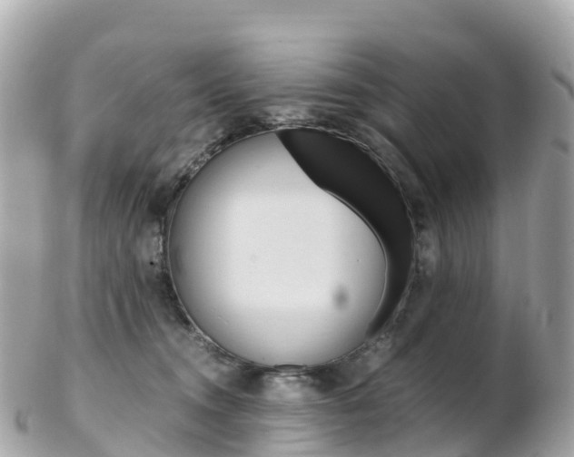 X0000103310372200808291157
