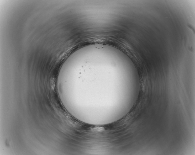 X0000103310374200808291158
