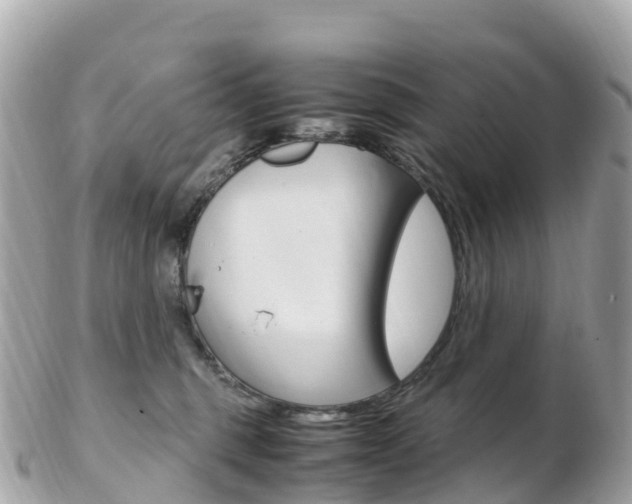 X0000103310375200808291158