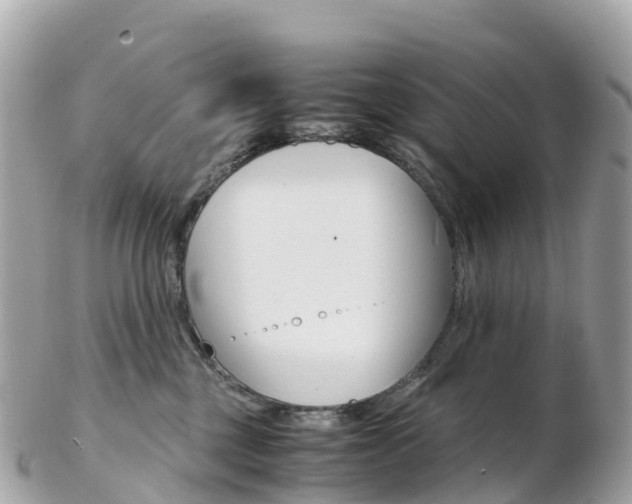 X0000103310377200808291158