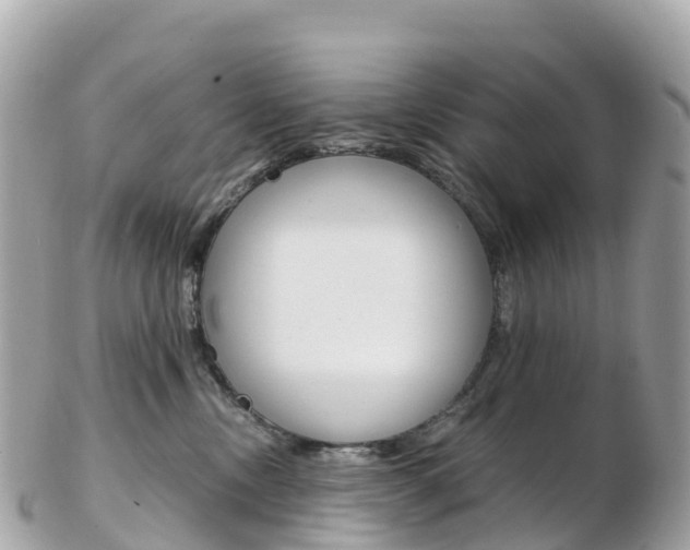X0000103310378200808291158