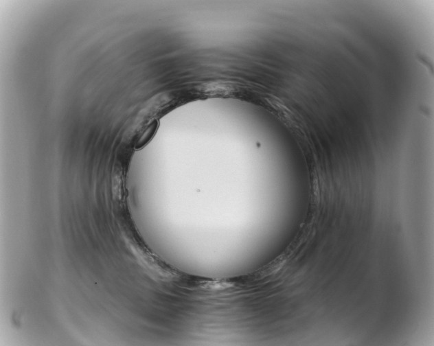 X0000103310379200808291158