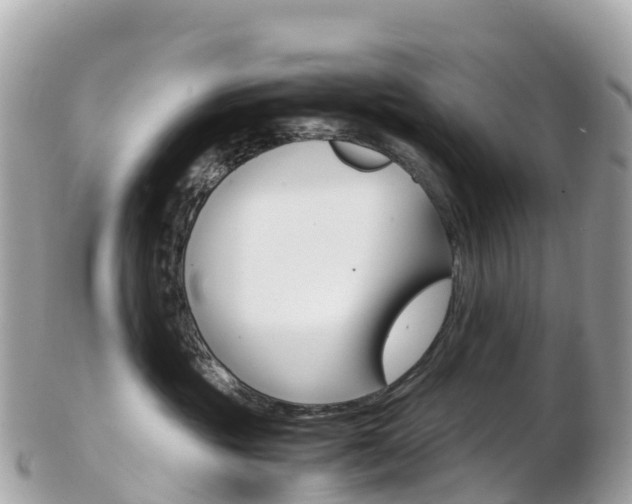X0000103310381200808291158