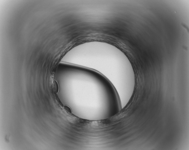 X0000103310382200808291158