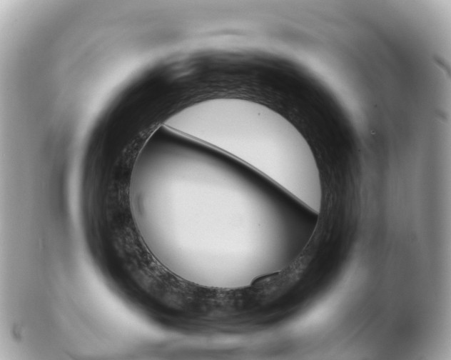X0000103310383200808291158