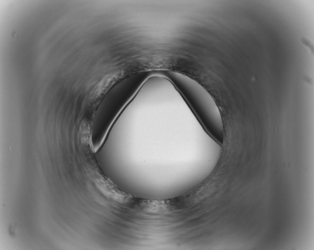 X0000103310384200808291158