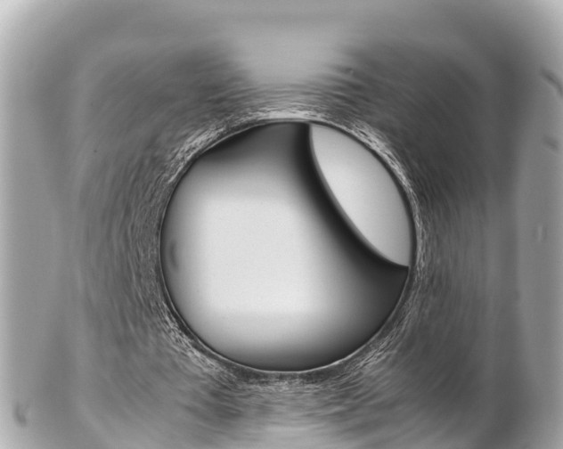 X0000103310385200808291157