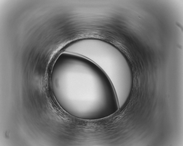 X0000103310388200808291157
