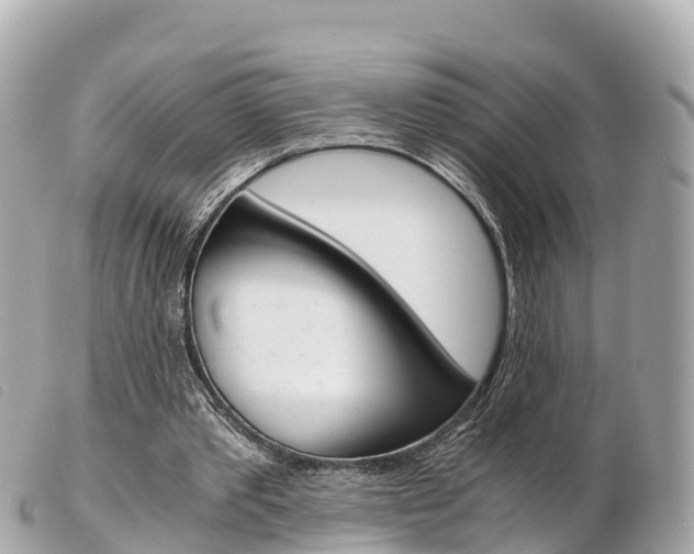 X0000103310389200808291157
