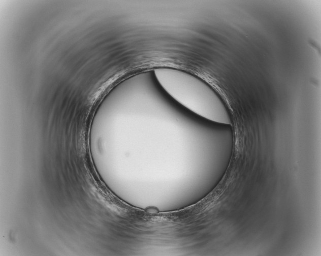 X0000103310390200808291157
