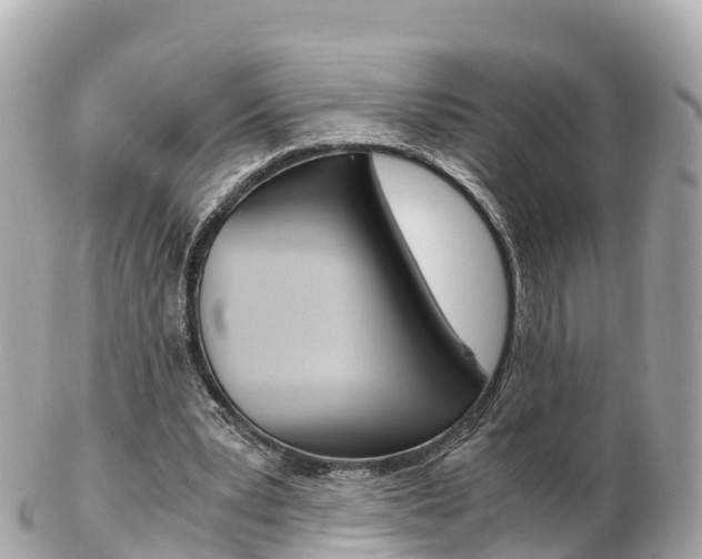 X0000103310391200808291157
