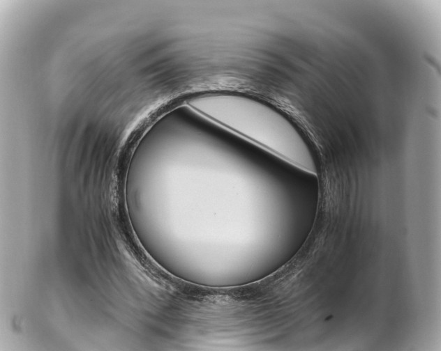 X0000103310392200808291157
