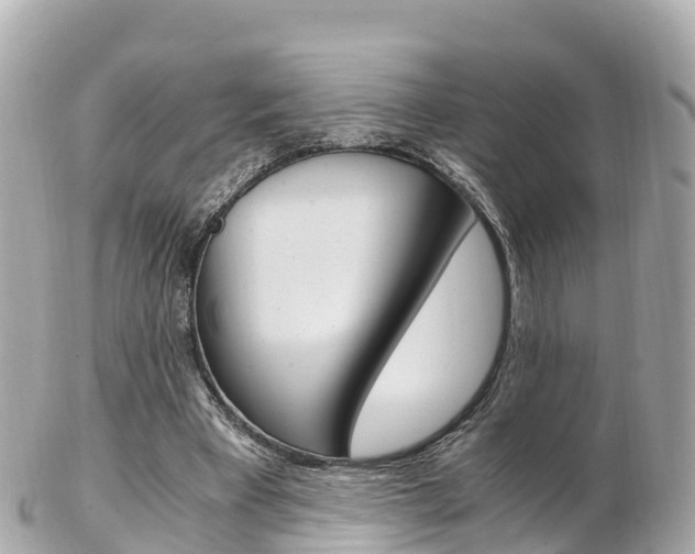 X0000103310393200808291157