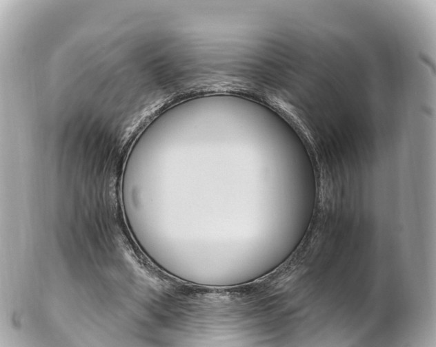 X0000103310394200808291157