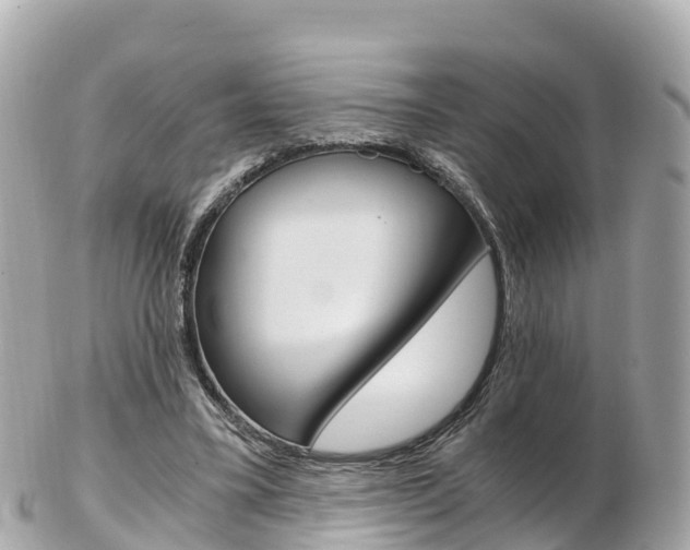 X0000103310395200808291157